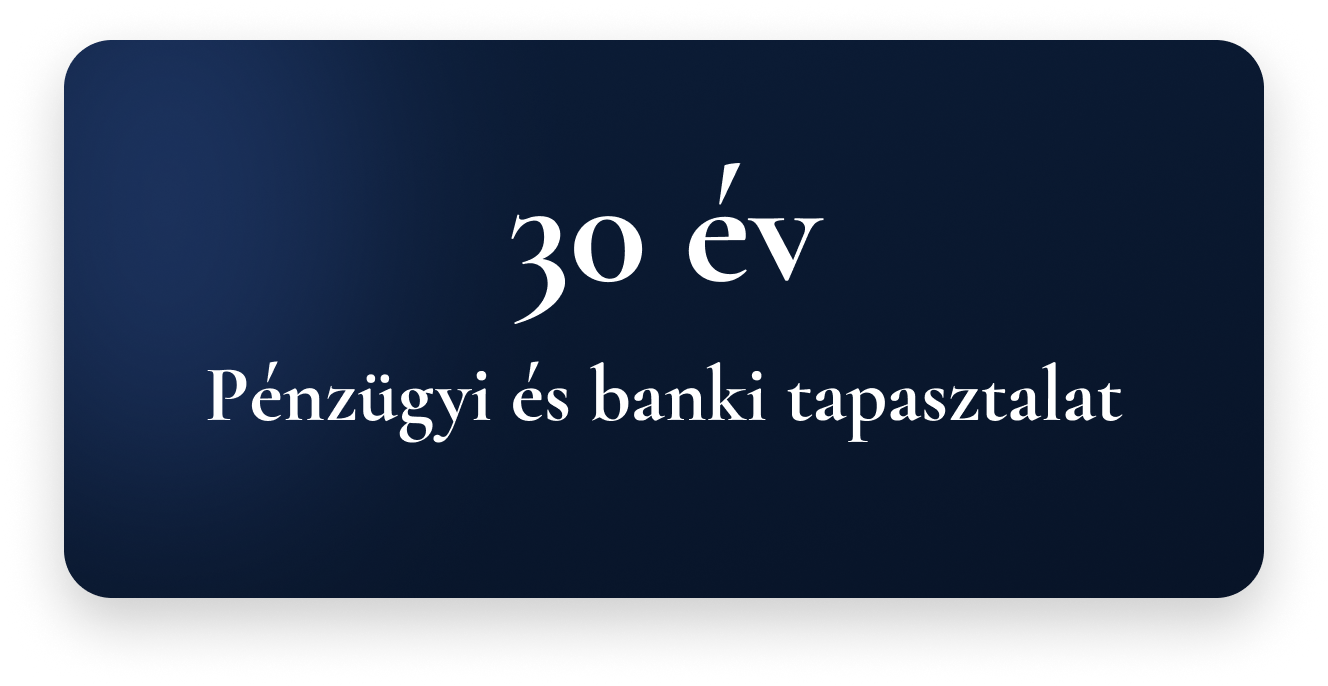 30 év pénzügyi és banki tapasztalat, több mint 1000 elkészített pénzügyi terv és 96%-os sikerességi arány üzleti tervek készítésében.